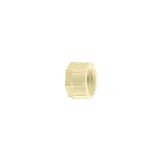 Picture of CPVC FITTINGS | THREAD END CAP | 32MM | SDR 11