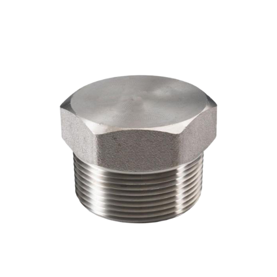 Picture of DUPLEX FITTINGS | PLUG (HEX) | 32MM | 150# | THREADED - BSP | ASME B16.11